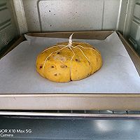 յϹͼƬ8