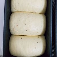 ڹ˾ͼƬ8