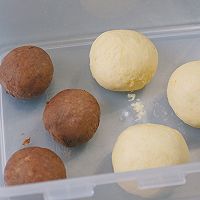 ڿɿϹͼƬ10