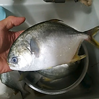 ڼҳͼƬ1