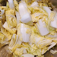 ڼ׺ʽײ˵ͼƬ3