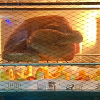 ʥ-ͷ㼦ͼƬ6