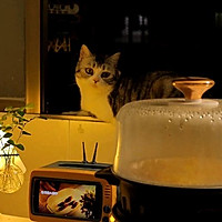 ͼƬ13