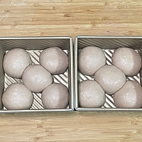 ڲݮС˾ͼƬ6