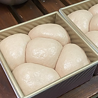 ڲݮС˾ͼƬ8