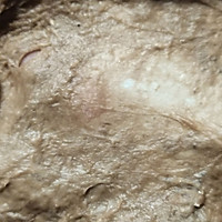 ڰɿ˾ͼƬ4