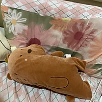 ͼƬ2