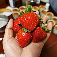 ڲݮֽͼƬ7