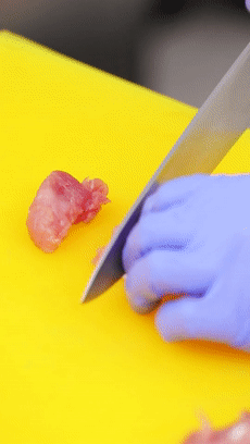 ŷ⿪ⶡͼƬ2