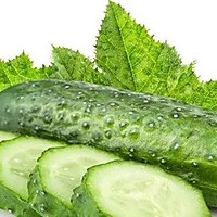 ںͼƬ2