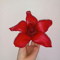 ڳԲե˿ͼƬ8
