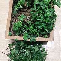 ںռצͼƬ10