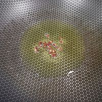 ڴ̼ͼƬ5
