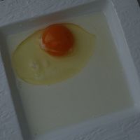 ڲݮʿͼƬ3