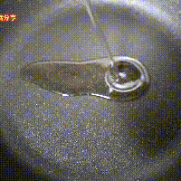 Ϻ賴ͼƬ1