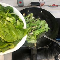 做正宗青菜蘑菇的图片步骤4