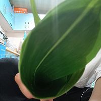 ӵͼƬ6
