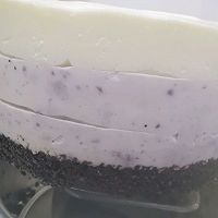ݮĽ˹ͼƬ12