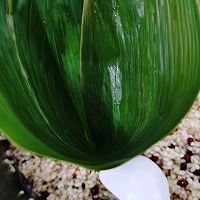 ڽյͼƬ6