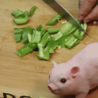 ͼƬ2
