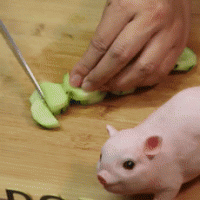 ͼƬ3