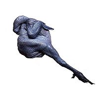 ڻڼɰ棩ͼƬ1