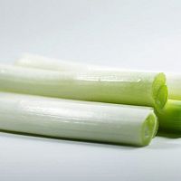 ڻڼɰ棩ͼƬ4