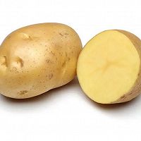 ھ䵰ͼƬ4
