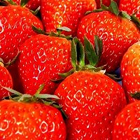 ڲݮ裨СͬͼƬ3
