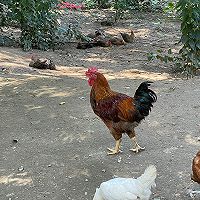 ཷͼƬ1