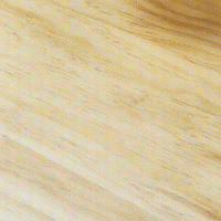 Ĩ豬а͵ͼƬ3