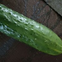 ڻƹϰɻͼƬ2