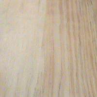 ͼƬ5