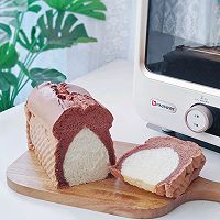 ڲݹͼƬ2