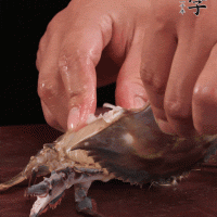 ڻëзͼƬ3