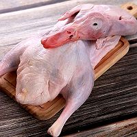 ڹʽѼͼƬ1