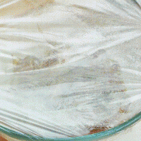 ڼͥŹǵͼƬ2