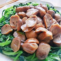 ڲݹ˵ͼƬ1