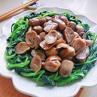 ڲݹ˵ͼƬ6