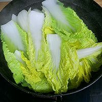 ޲˰ӵͼƬ1