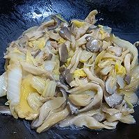 ڰײĢ廨ͼƬ8