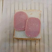 ڻȵ֥ʿ˿εͼƬ6