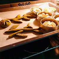ڶɳͼƬ15