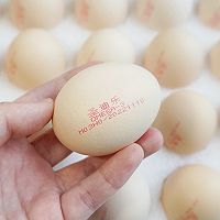 ںʽ跹ͼƬ4