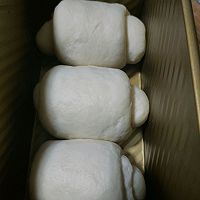 ڵζ˿˾ͼƬ5