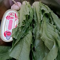 ڶ˵ͼƬ1