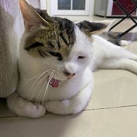 ͼƬ1