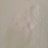 ڵͼƬ18