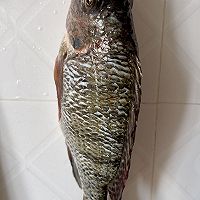 ʳ-޷ͼƬ2