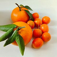 ٽ۵ˮͼƬ1